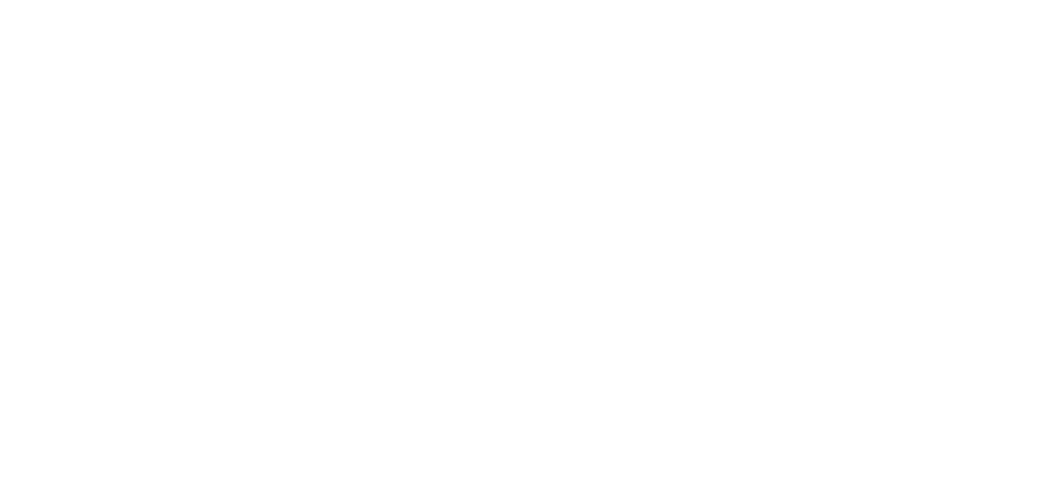 Der verstandene Hund - Julia Spillner