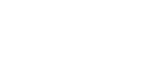 Der verstandene Hund - Julia Spillner